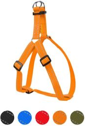 Шлея Dog Extreme з нейлону регульована (ширина 20мм, В:50-80см) помаранчевий