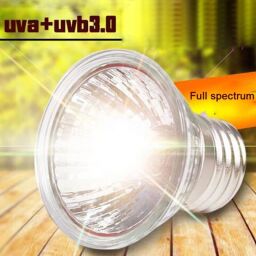 Лампа точечного нагрева 75 Вт UVA + UVB 3,0 (uva 75w) от производителя KW Zone