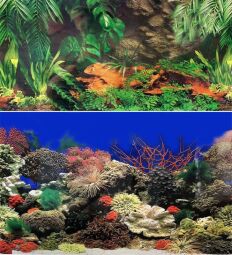 Фон для аквариума и террариума Marina двухсторонний джунгли/коралловый риф 10 x 50 см (c021050) от производителя KW Zone