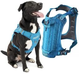 Kurgo County Harness КУРГО КАУНТИ шлея для собак Блакитний | L | обхват шиї – 46-76 см, обхват грудей – 61-86