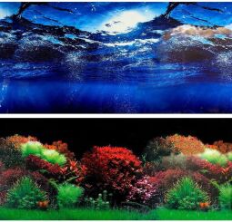 Фон для акваріума Marina двосторонній океан/рослини 10 x 30 см (8007/8008-30см) від виробника KW Zone