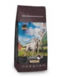Сухий корм Landor (Ландор) Рuppy LARGE BREED LAMB & RICE 15 кг для цуценят великих порід з ягням та рисом