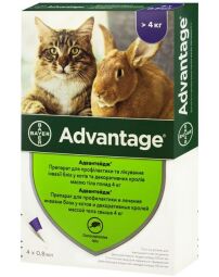 Капли от блох Bayer Адвантейдж (Advantage) для кошек от 4 кг (4 пипетки) (BAY04639) от производителя Bayer