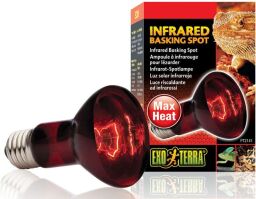 Зеркальная инфракрасная лампа для обогревающих рептилий Exo Terra Infrared Basking Spot R20, 50 Вт (311937) от производителя Exo Terra
