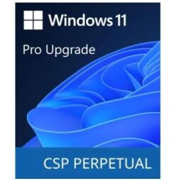 Програмний продукт Microsoft Windows 11 Pro Upgrade (DG7GMGF0D8H4-0004)