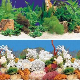 Фон для акваріума двосторонній рослини/корали , висота 30 см, 9066/9029