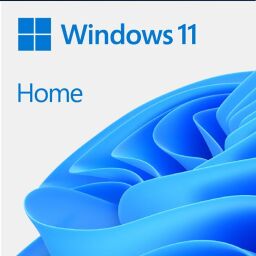 Примірник ПЗ Microsoft Windows 11 Home англ, ОЕМ на DVD носії