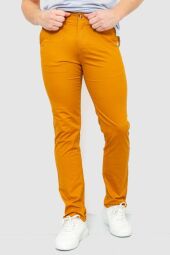 Штани чоловічі класичні AGER, колір гірчичний, 243R1027 від виробника Ager
