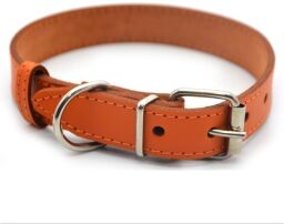 Ошейник для собак Zoo-hunt кожаный Весна оранжевый 4,5/56-66 см (ZH33935997) от производителя Zoo-Hunt