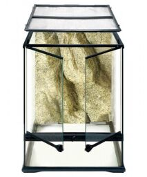 Тераріум скляний Exo Terra Glass terrarium, 45х45х90 см